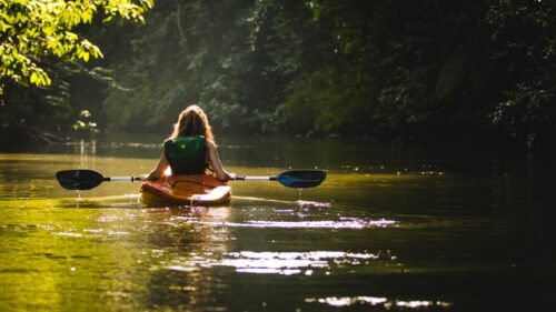 kayaking in the wild
